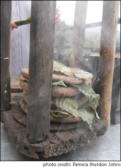 Bitter Greens and Anchovy Sauce
